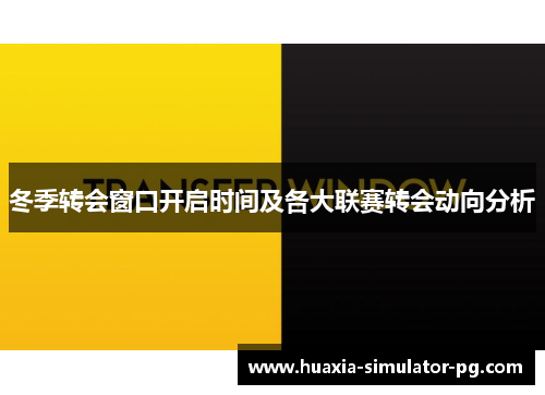 冬季转会窗口开启时间及各大联赛转会动向分析 冬季转会窗口开启时间及各大联赛转会动向分析
