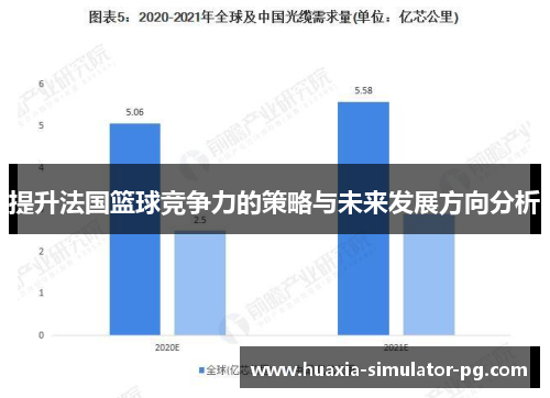 提升法国篮球竞争力的策略与未来发展方向分析 提升法国篮球竞争力的策略与未来发展方向分析