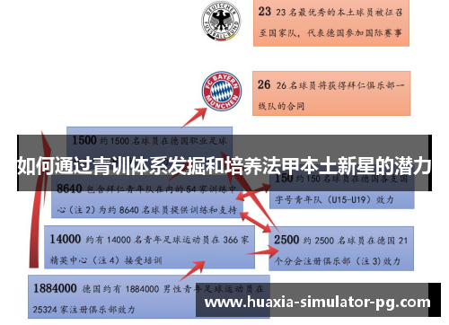 如何通过青训体系发掘和培养法甲本土新星的潜力
