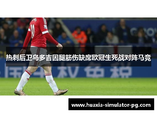 热刺后卫乌多吉因腿筋伤缺席欧冠生死战对阵马竞 热刺后卫乌多吉因腿筋伤缺席欧冠生死战对阵马竞