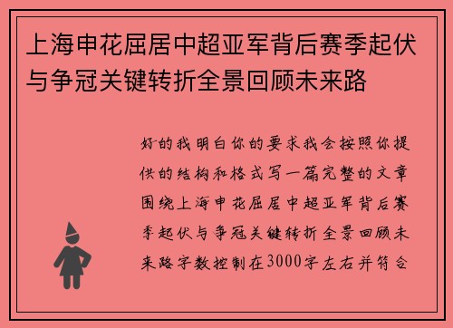 上海申花屈居中超亚军背后赛季起伏与争冠关键转折全景回顾未来路