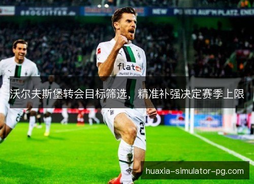 沃尔夫斯堡转会目标筛选，精准补强决定赛季上限
